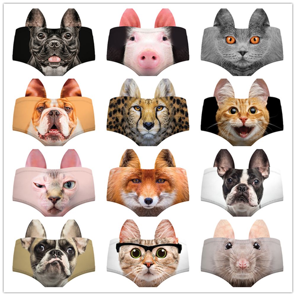 Women Cute Animals Pattern Pan – Heavy Equipment Cat Bewertung und Preis