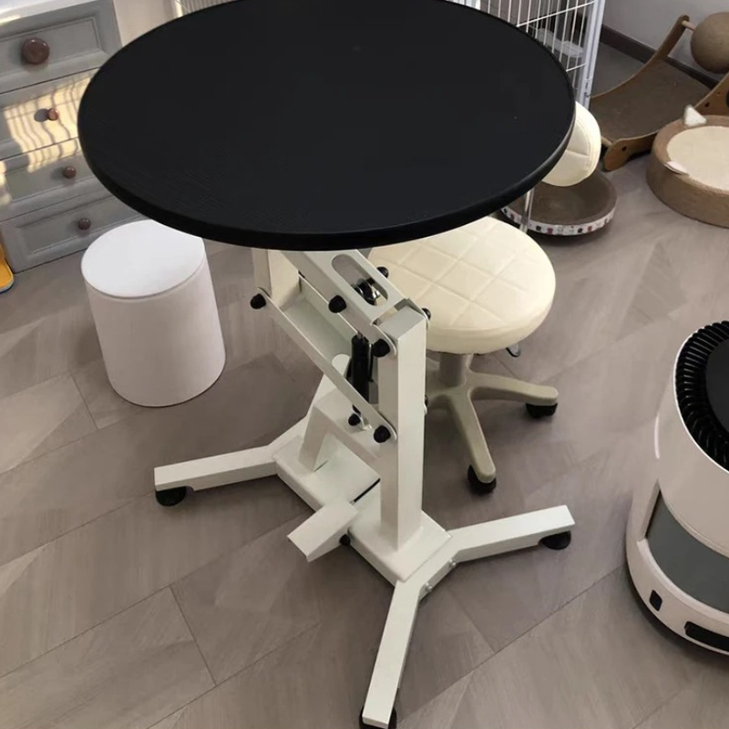 Pet Grooming Table for Small D – Hydraulic Floor Jack Bewertung und Preis