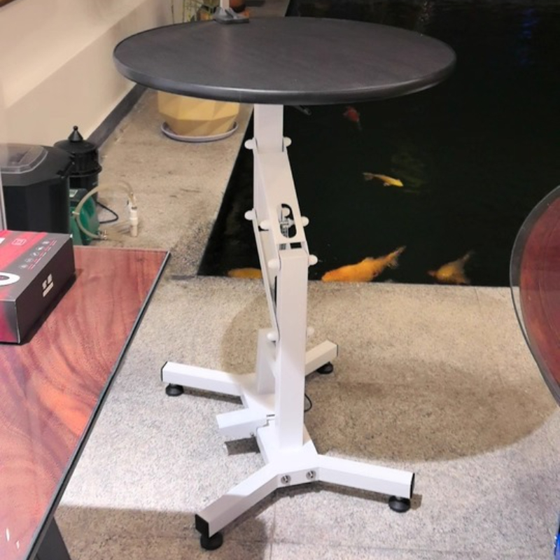 Pet Grooming Table for Small D – Hydraulic Floor Jack Bewertung und Preis