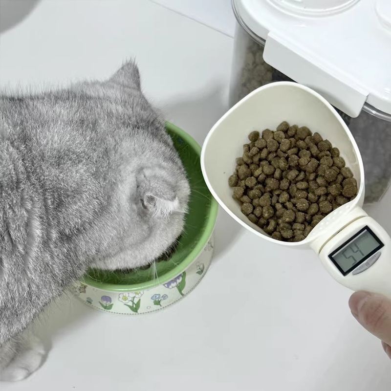 High Precision Pet Feeding Spo – Heavy Equipment Cat Bewertung und Preis
